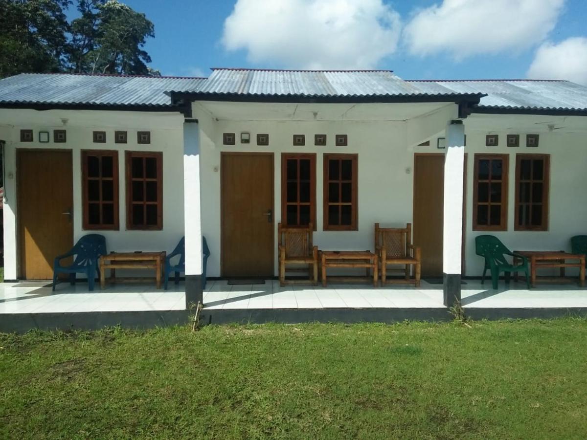 Rago'S Homestay Kelimutu Buitenkant foto