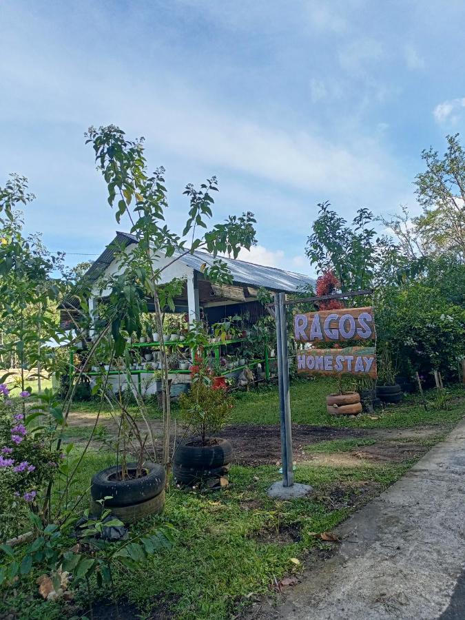 Rago'S Homestay Kelimutu Buitenkant foto