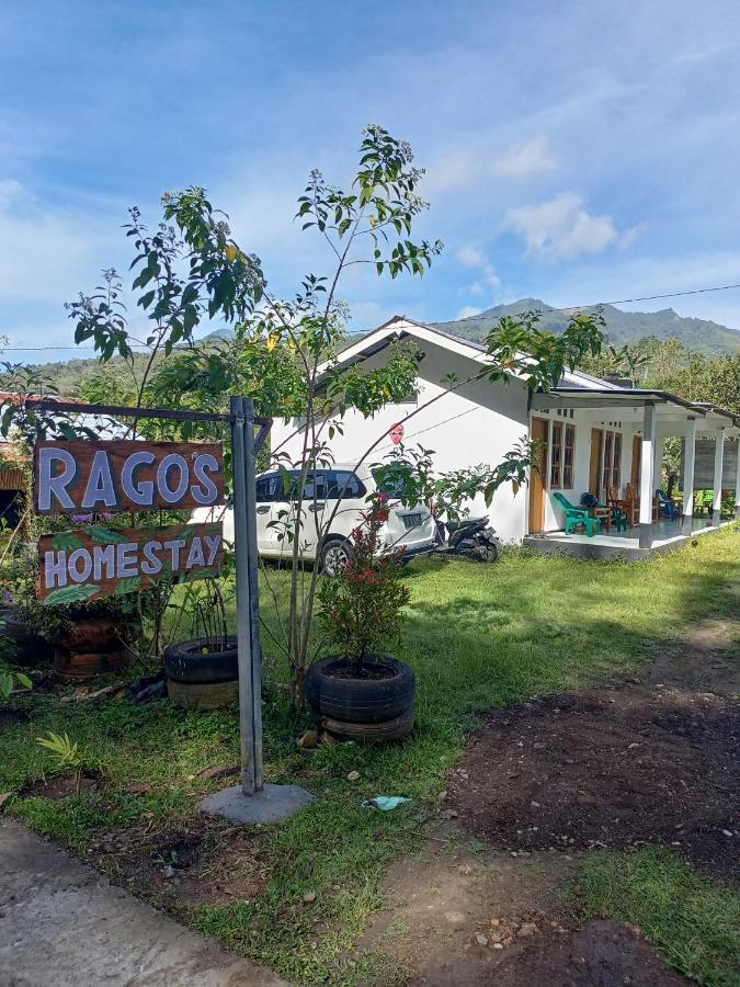 Rago'S Homestay Kelimutu Buitenkant foto